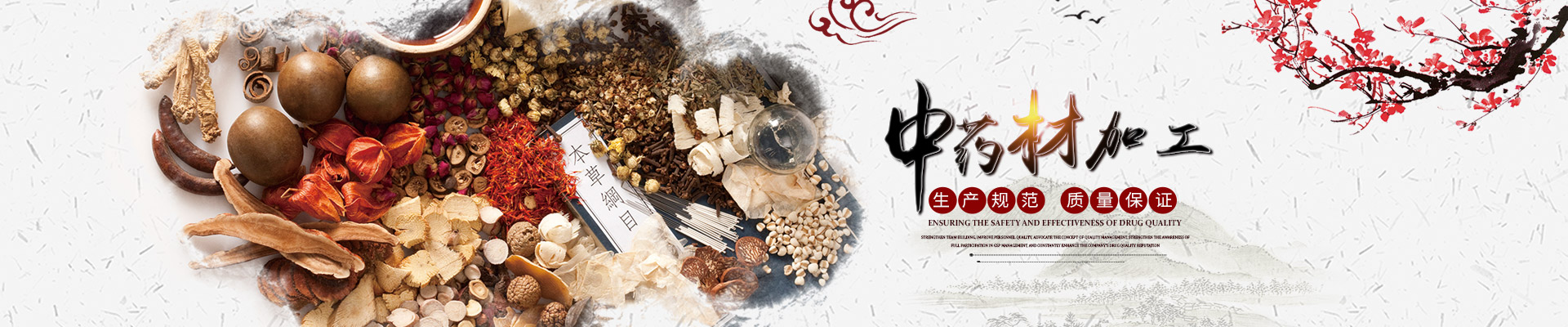 湖南中藥材種植|藥品批發(fā)_湖南神舟中藥飲片有限公司 湖南中藥材種植|藥品批發(fā)_湖南神舟中藥飲片有限公司