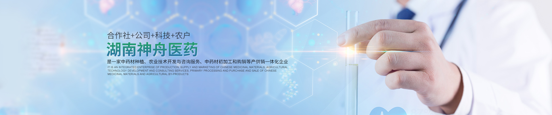 湖南中藥材種植|藥品批發(fā)_湖南神舟中藥飲片有限公司 湖南中藥材種植|藥品批發(fā)_湖南神舟中藥飲片有限公司